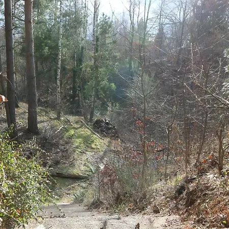 Fuer 3 Personen 2 Ca, 140 M Sup2 In Bad Schmiedeberg, Elbe Mittelelbe *